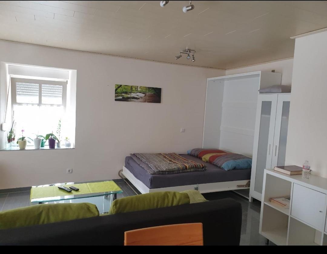 Ferien-Apartment Meter Neumagen-Dhron Bagian luar foto